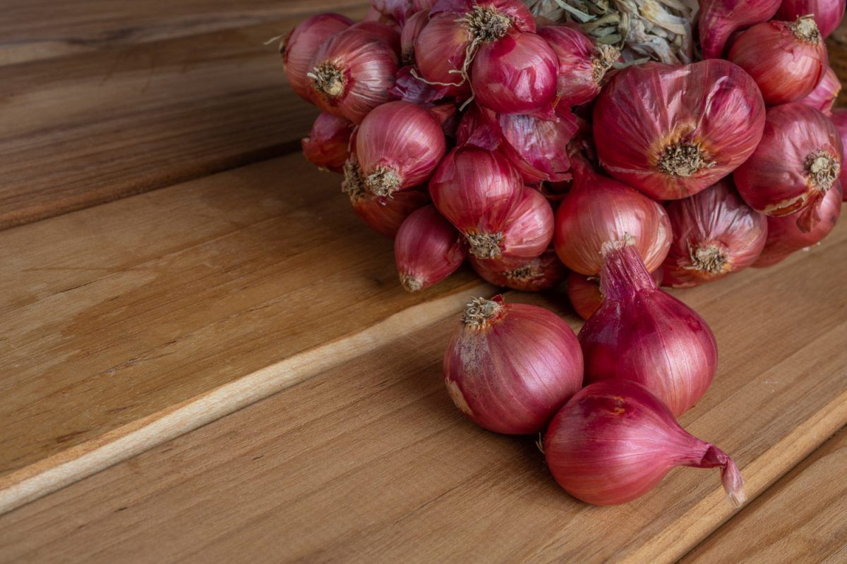 Bawang Merah Untuk Batuk